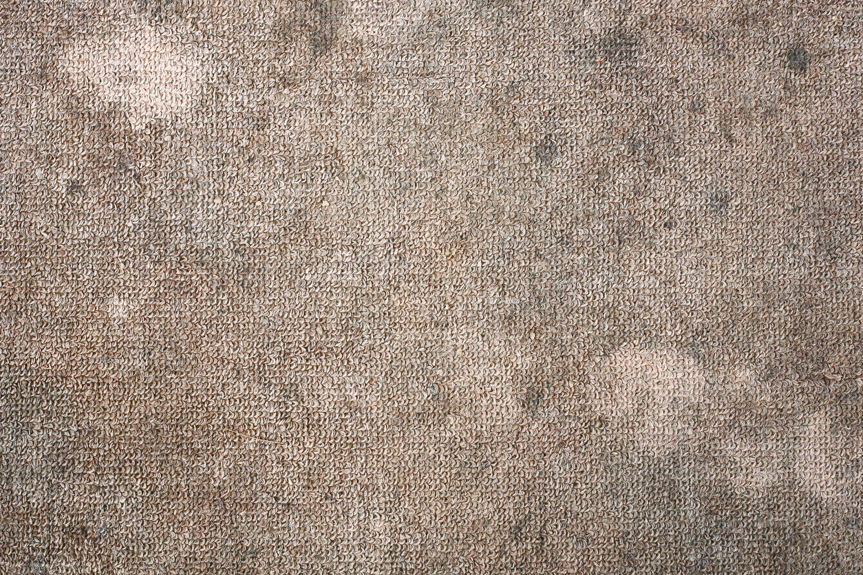 Can a Dirty Carpet Cause Allergies?