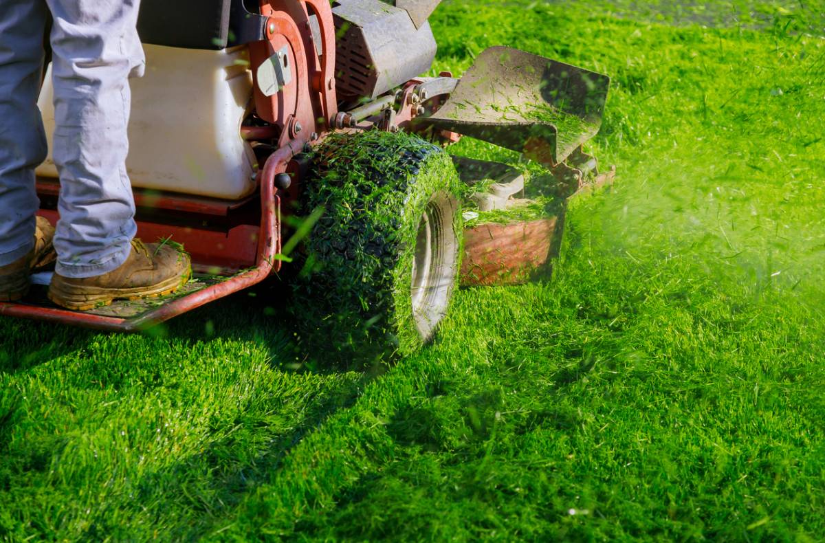 How to Choose the Best Lawn Service