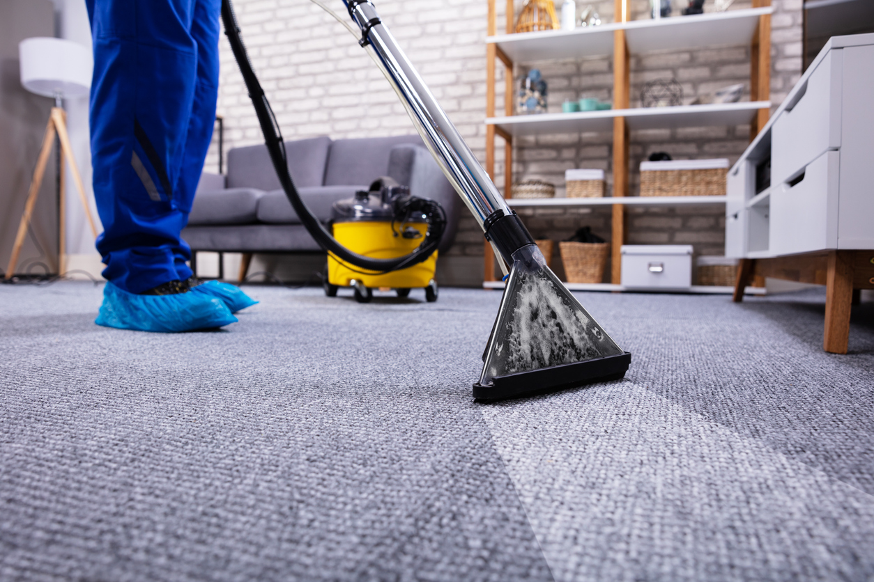 Cropped image of a professional cleaning a carpet to represent how often you should clean your rugs.