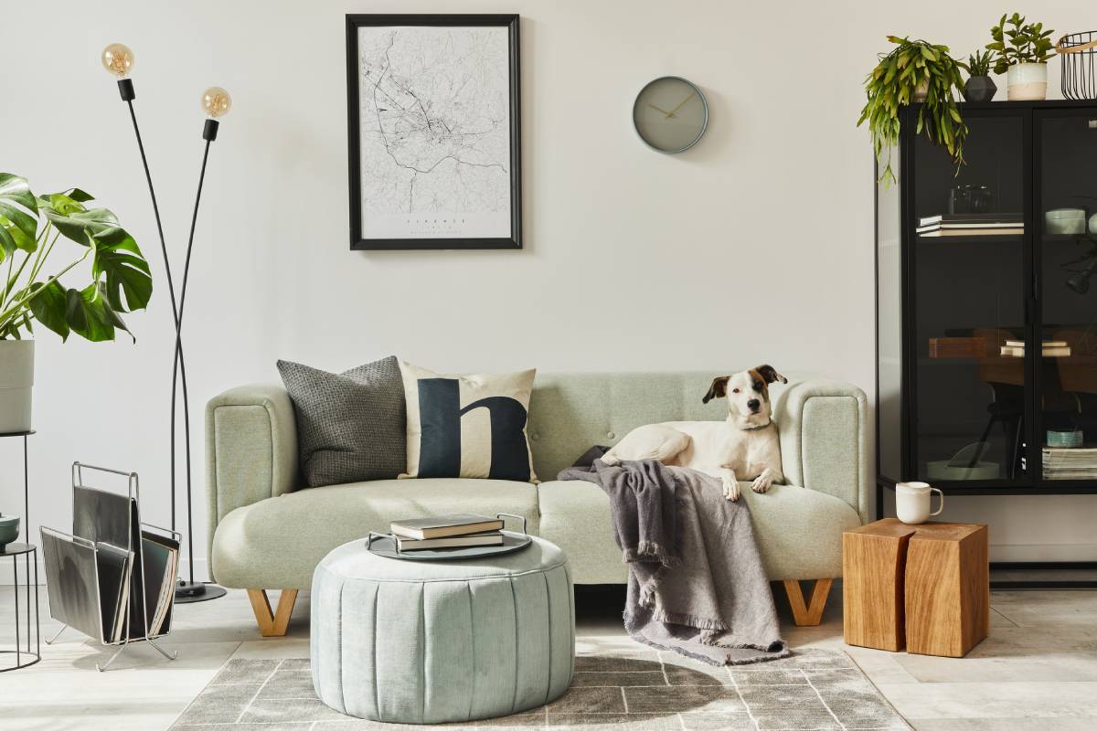 How to Match Your Sofa to Your Interior Style